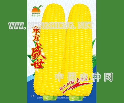 东方盛世